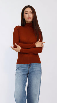 Jesse Rust Sheer Turtleneck Knit Top