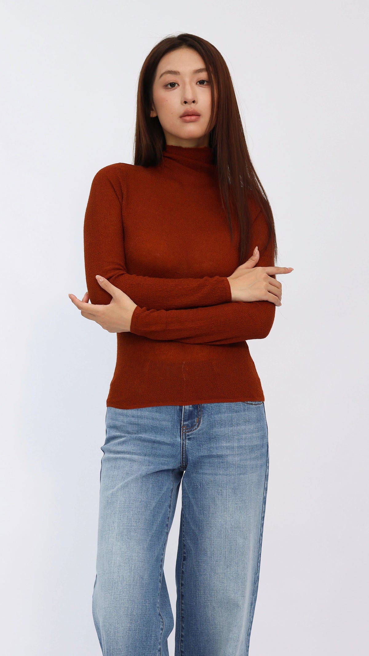 Jesse Rust Sheer Turtleneck Knit Top