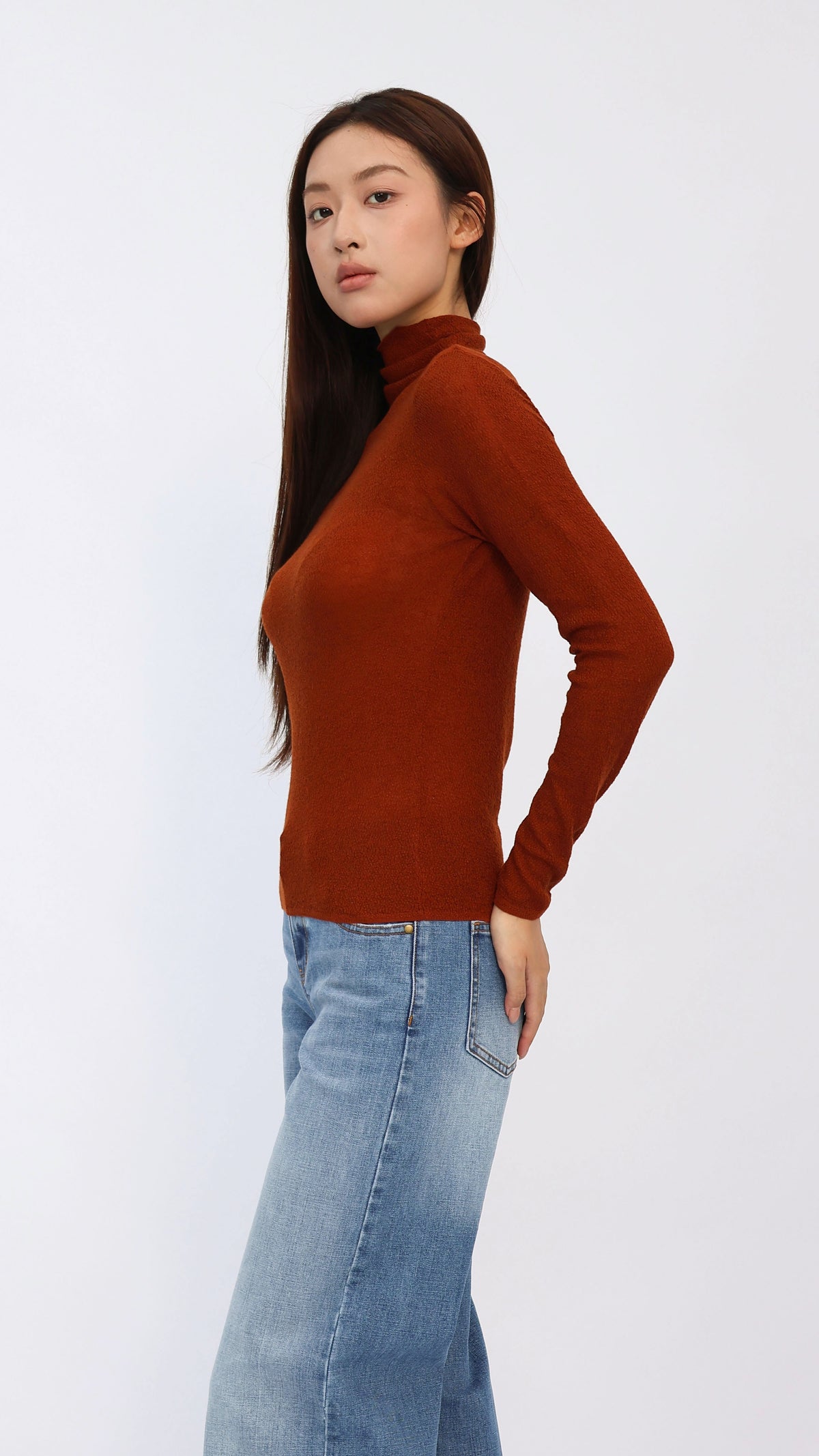Jesse Rust Sheer Turtleneck Knit Top