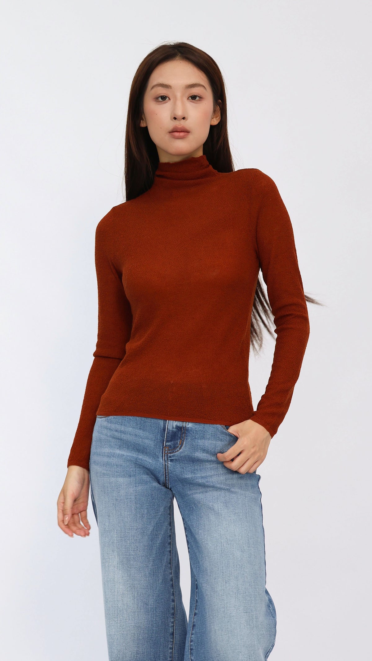 Jesse Rust Sheer Turtleneck Knit Top