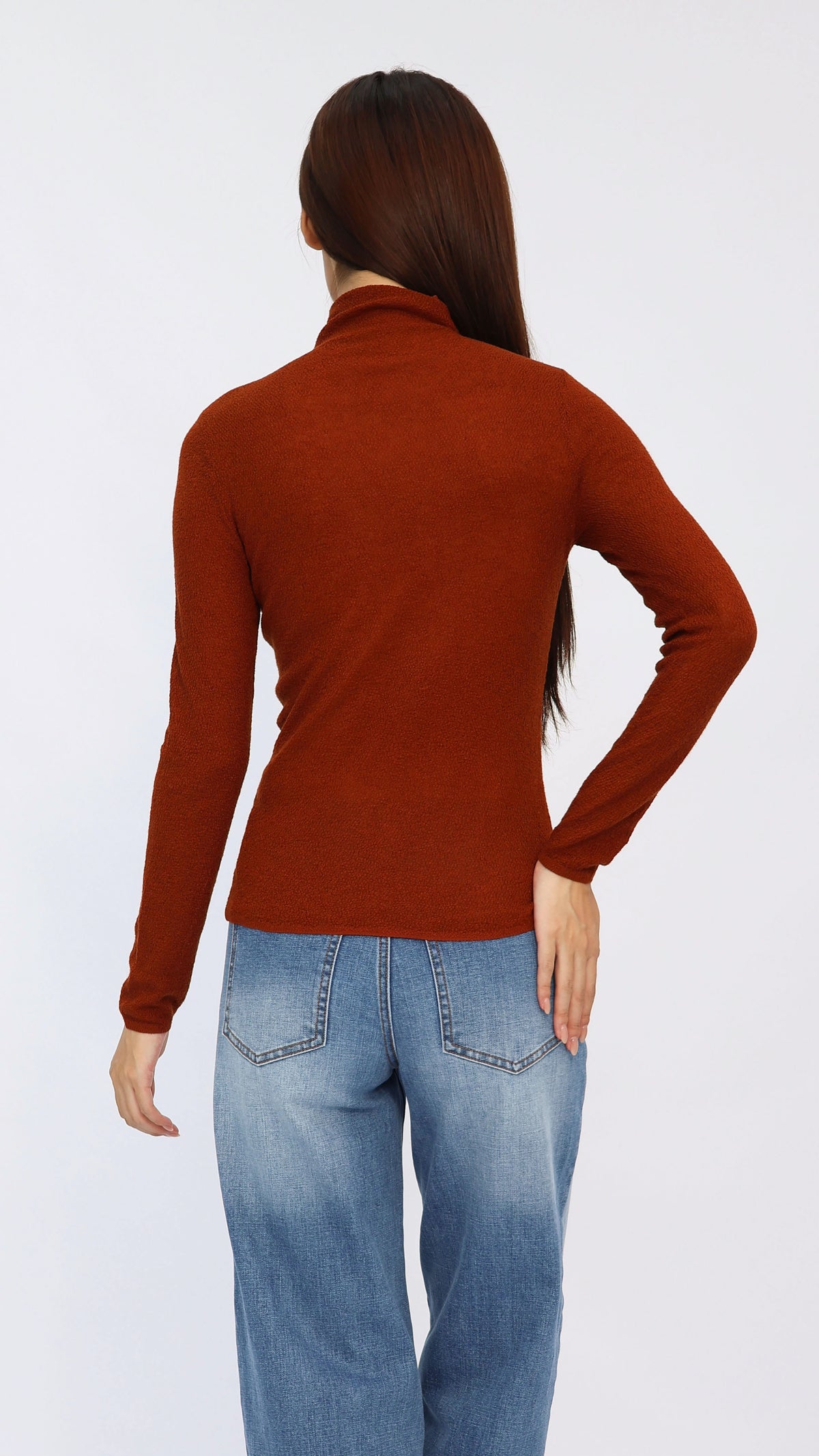 Jesse Rust Sheer Turtleneck Knit Top