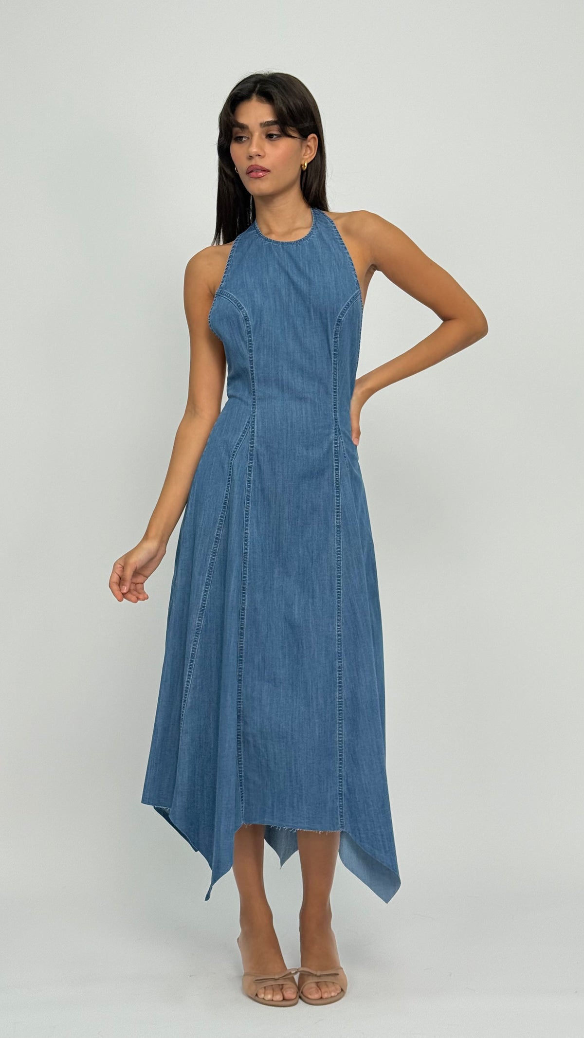 Andrea Halter Denim Dress