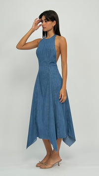 Andrea Halter Denim Dress