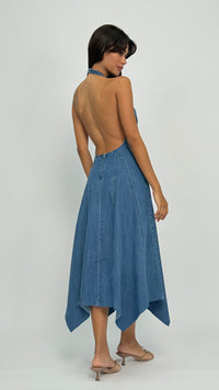 Andrea Halter Denim Dress