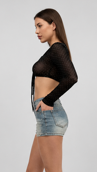 Kara Sheer Top