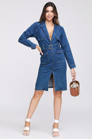 Monica Denim Dress